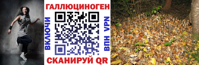 Псилоцибиновые грибы Cubensis  где продают   Котово 