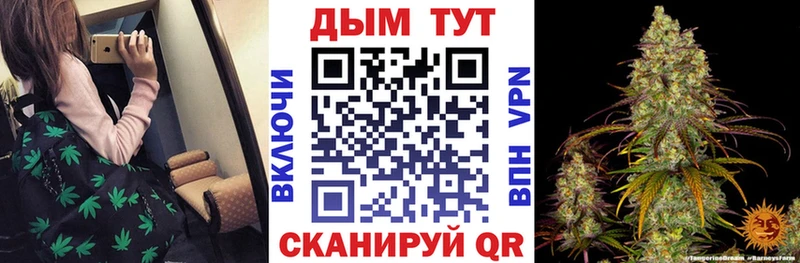 Бошки марихуана сатива  где продают наркотики  Котово 